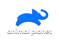 Animal Planet онлайн Animal Planet онлайн