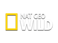 Nat Geo Wild онлайн Nat Geo Wild онлайн